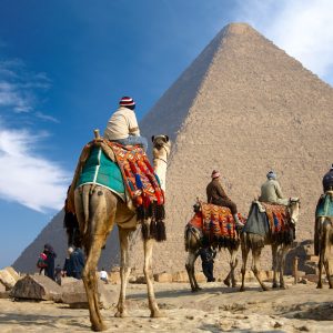 Bedouin-on-camel-near-of-Egypt-pyramid